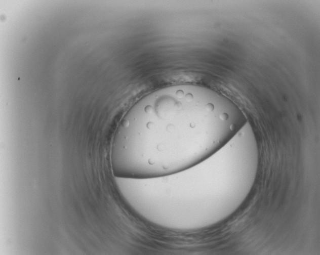 X0000073750359200608102026