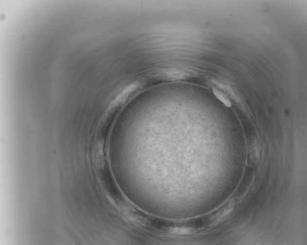 X0000073750360200608102026