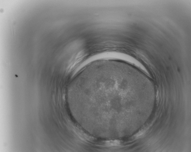 X0000073750363200608102026