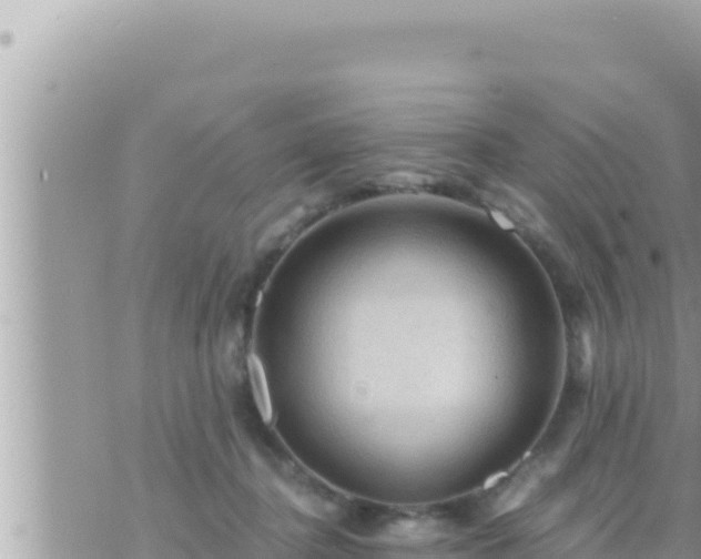 X0000073750364200608102026