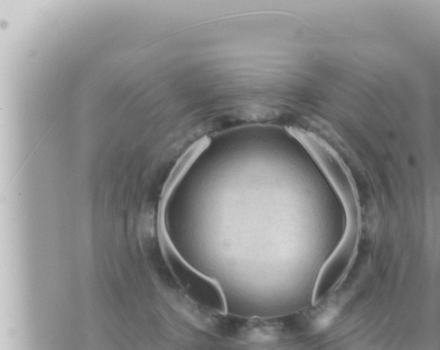 X0000073750368200608102026