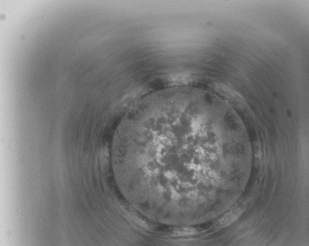 X0000073750369200608102026