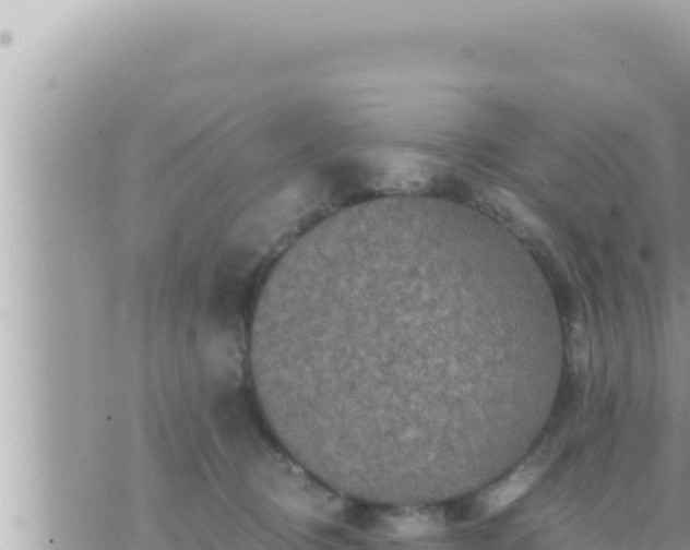 X0000073750370200608102026