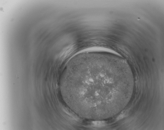 X0000073750371200608102026