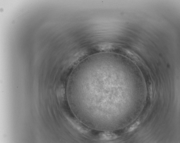 X0000073750372200608102026