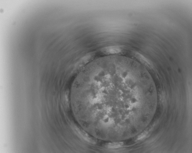 X0000073750373200608102026