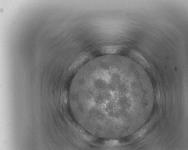 X0000073750374200608102026