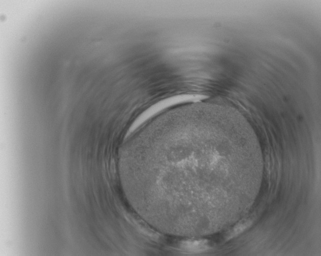 X0000073750375200608102026