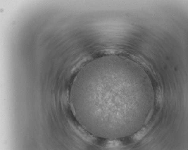 X0000073750376200608102026