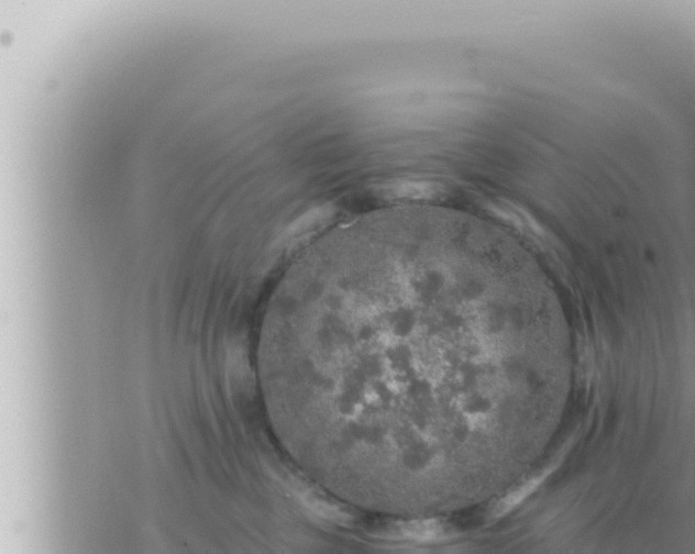 X0000073750377200608102026