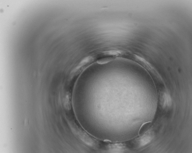 X0000073750378200608102026