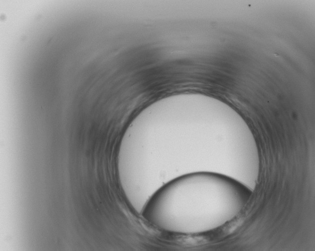 X0000073750379200608102026