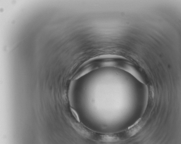 X0000073750380200608102026