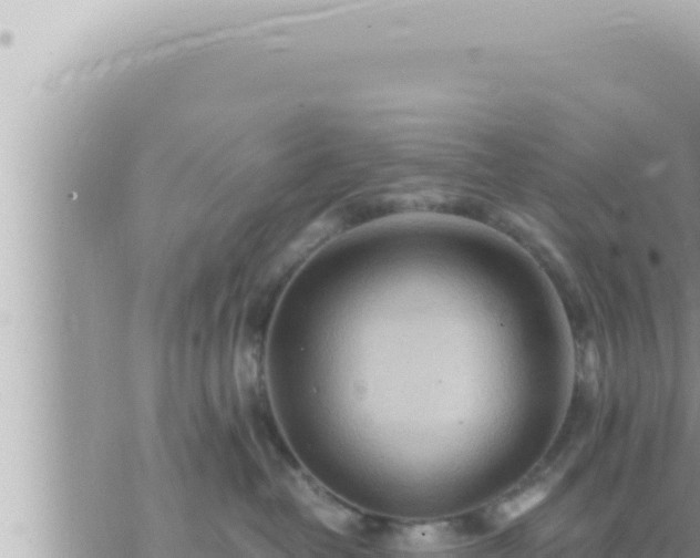 X0000073750382200608102026