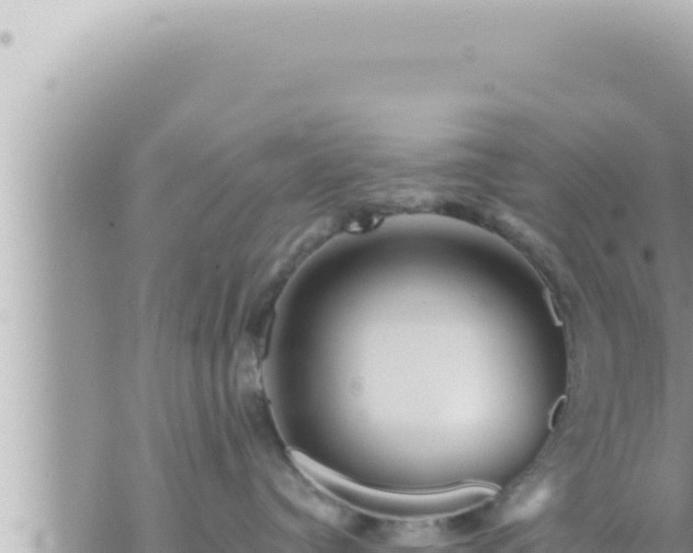 X0000073750384200608102026