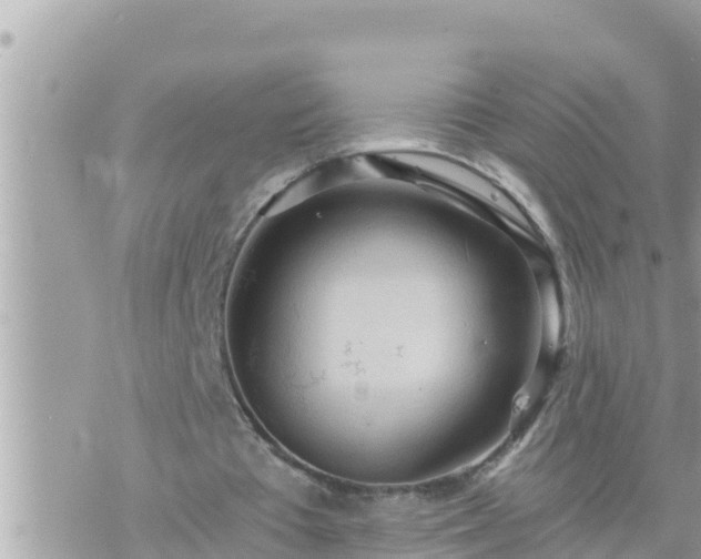 X0000073750385200608102026