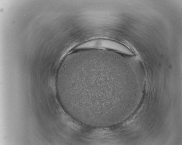 X0000073750386200608102026