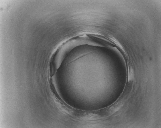 X0000073750387200608102026