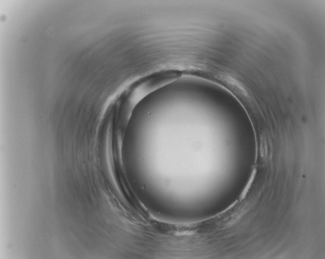 X0000073750388200608102026