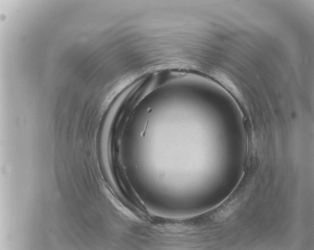 X0000073750389200608102026