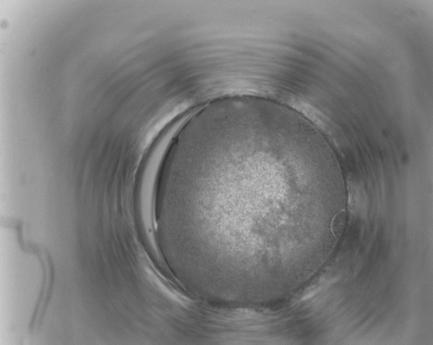 X0000073750390200608102026