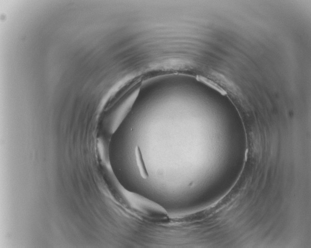 X0000073750392200608102026