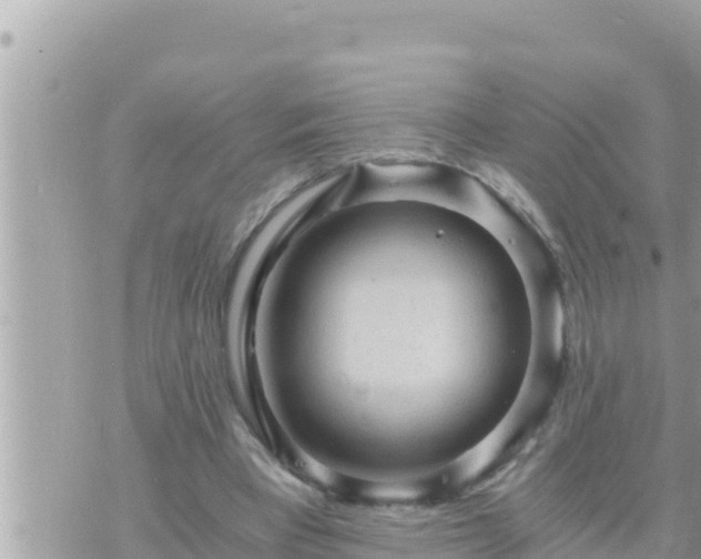 X0000073750393200608102025