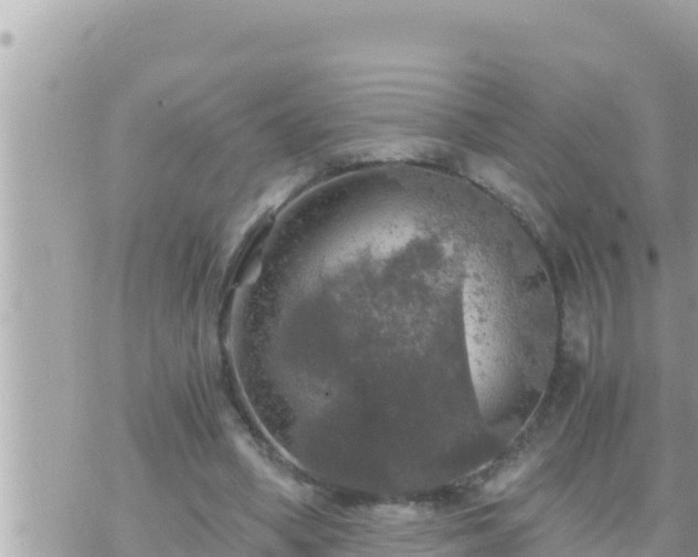 X0000073750394200608102025