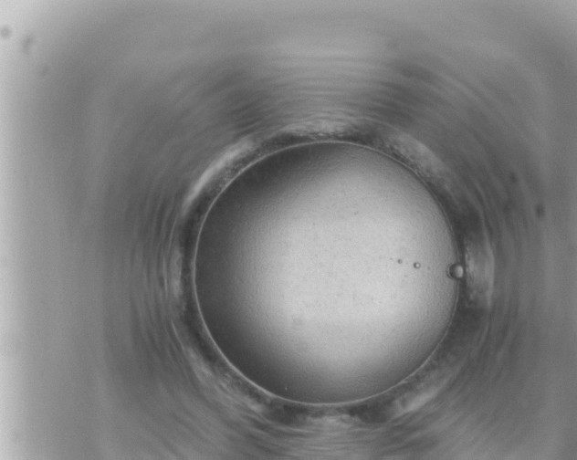 X0000073750396200608102025