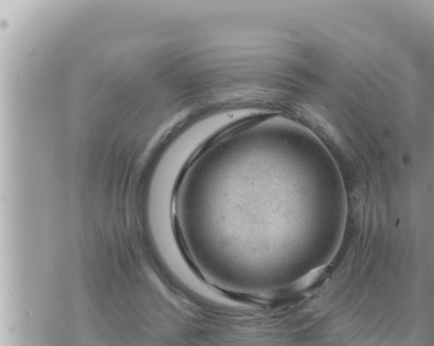 X0000073750400200608102025