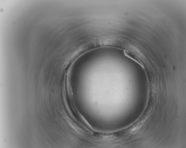 X0000073750401200608102025