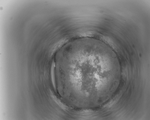 X0000073750402200608102025