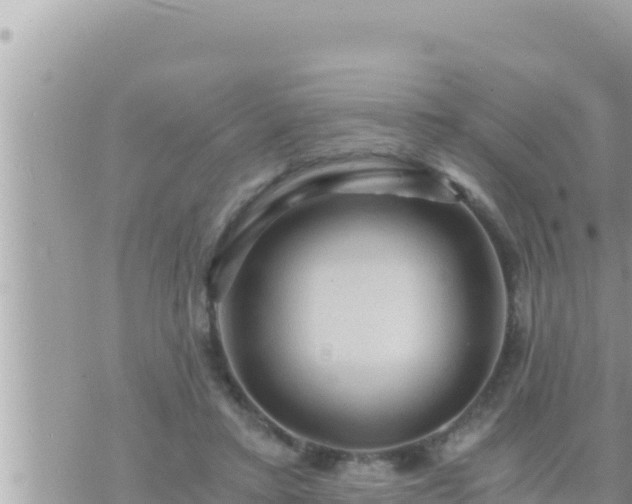 X0000073750403200608102025