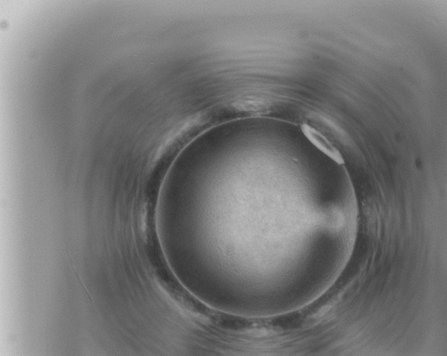 X0000073750404200608102025