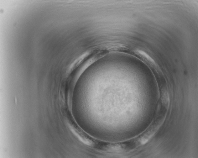 X0000073750405200608102025