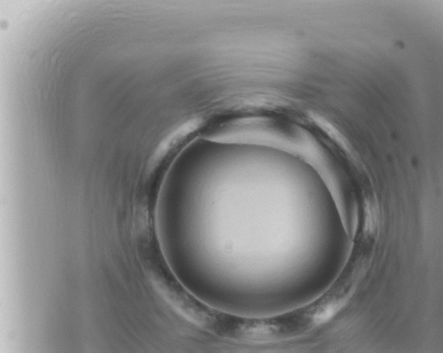 X0000073750407200608102025