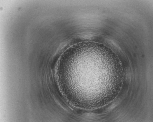 X0000073750408200608102025