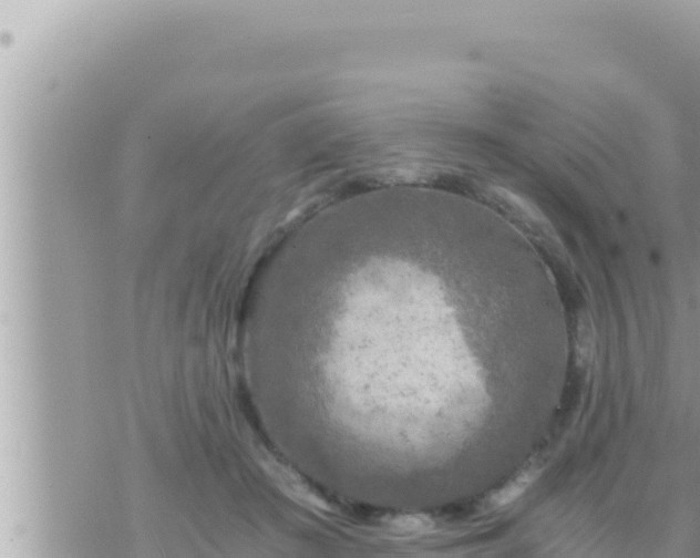 X0000073750409200608102025