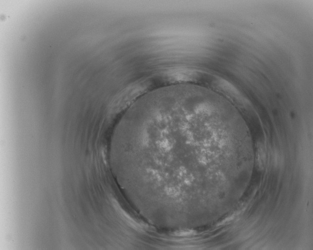 X0000073750410200608102025