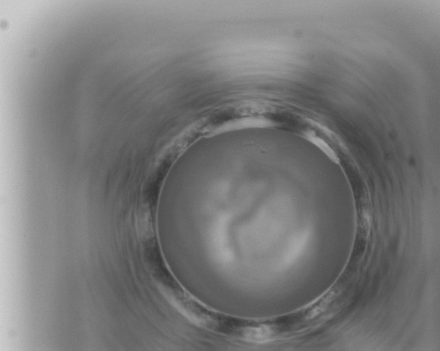 X0000073750411200608102025