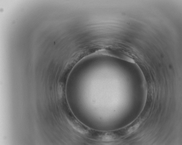 X0000073750412200608102025