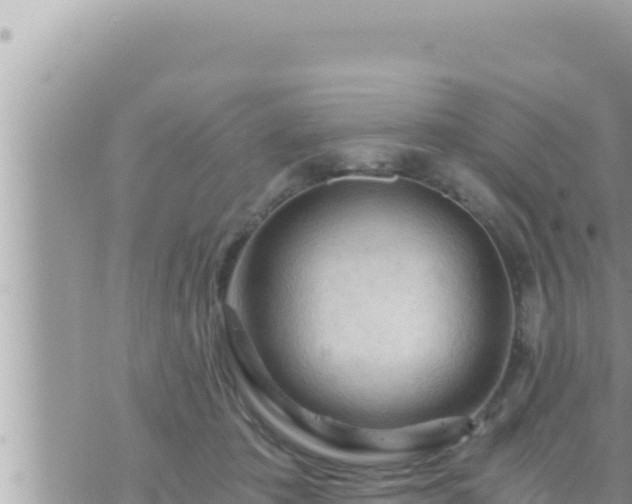 X0000073750413200608102025