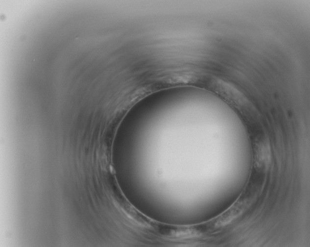 X0000073750414200608102025