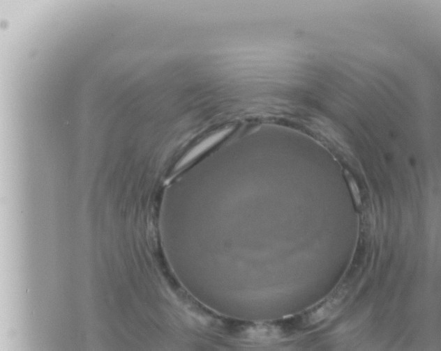 X0000073750415200608102025