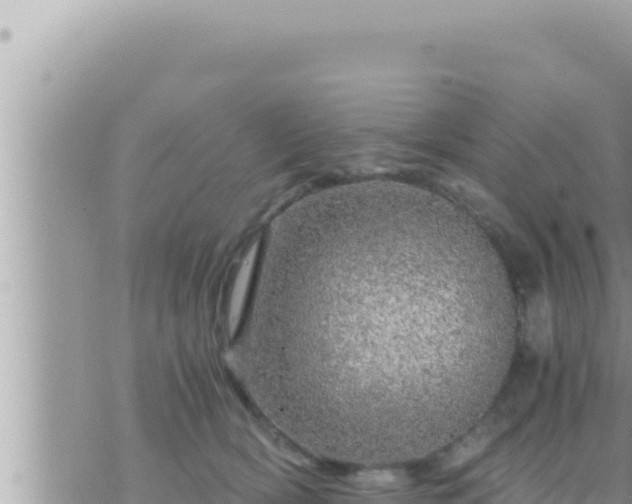 X0000073750418200608102025