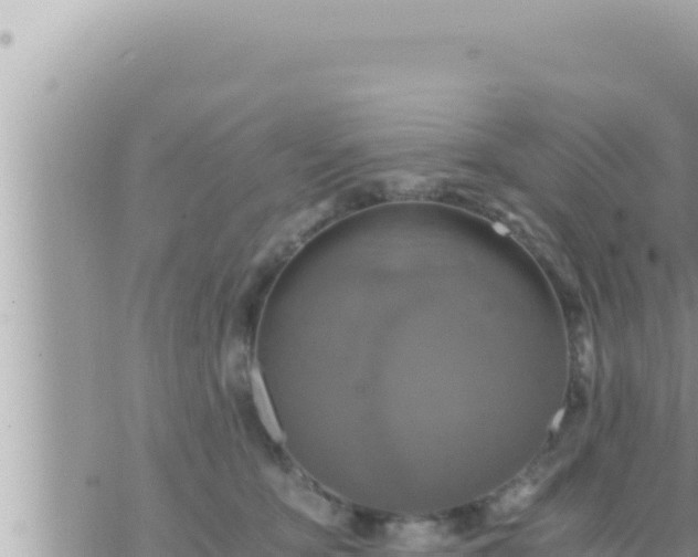 X0000073750419200608102025