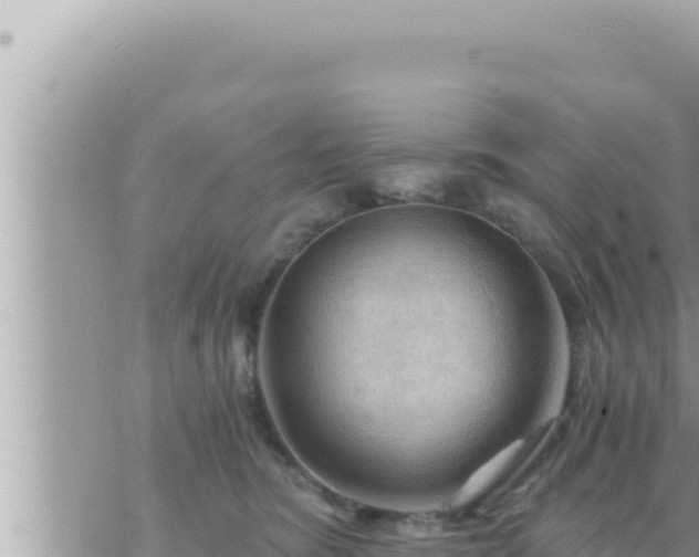 X0000073750420200608102025