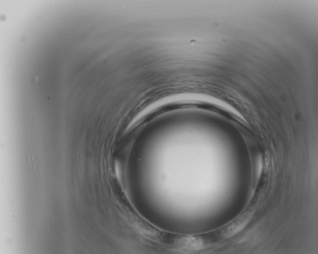 X0000073750421200608102025