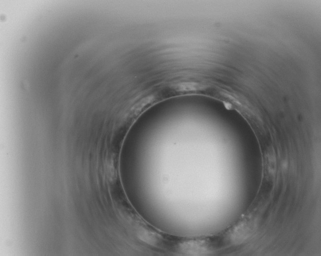 X0000073750422200608102025