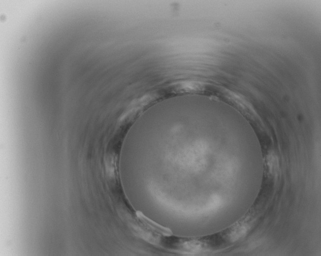 X0000073750423200608102025